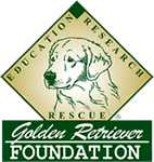 Golden Retriever Foundation
